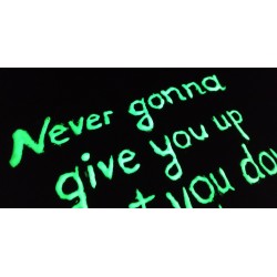 GLOW IN THE DARK PAINT FOR CLOTHES AND TEXTILES