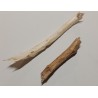 ANTIFUNGAL WOOD WATERPROOFER