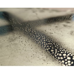 ANTI-GRAFFITI PAINT  1 L