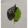 GRAPHITE CONDUCTIVE PAINT