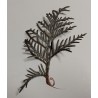 GRAPHITE CONDUCTIVE PAINT