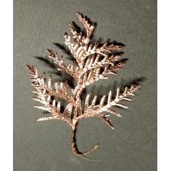 GRAPHITE CONDUCTIVE PAINT